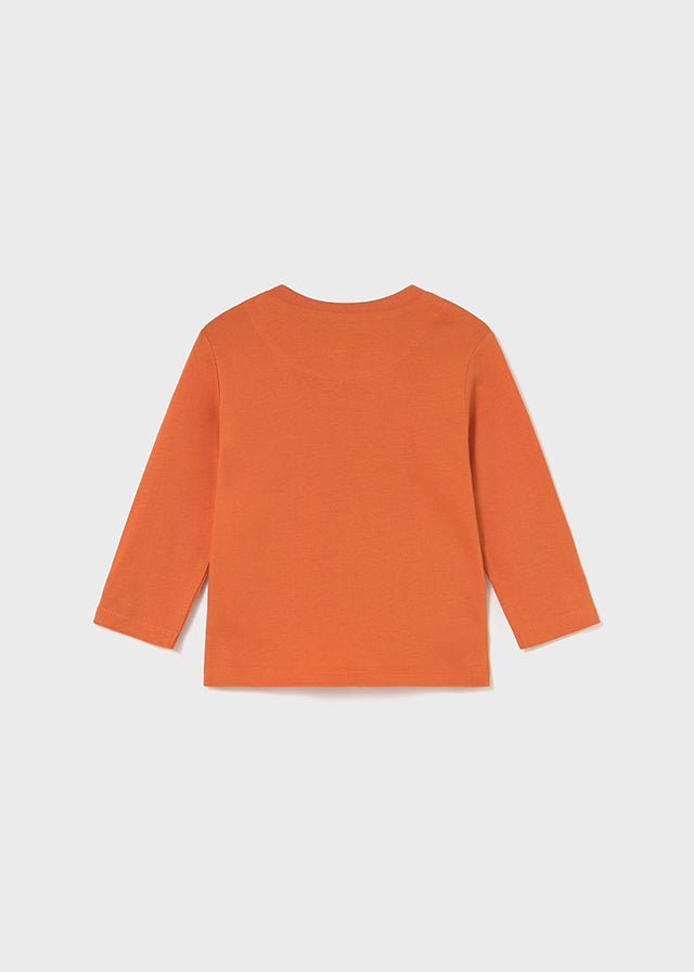 Camiseta m/l lenticular