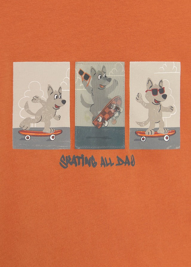 Camiseta m/l lenticular