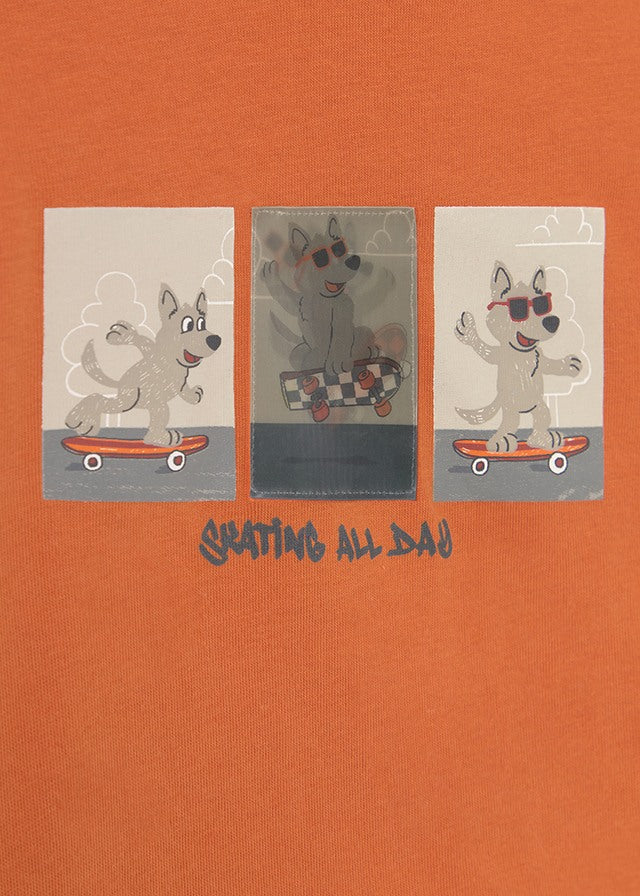 Camiseta m/l lenticular